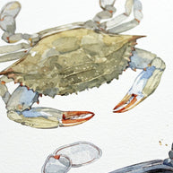 Blue Crab Teir Print