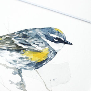 Yellow-Rumped Warbler Bird Print