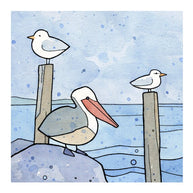 Pelican Gull and Tern Print