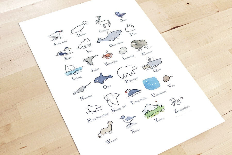Illustrated Alphabet Arctic Print