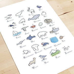 Illustrated Alphabet Arctic Print