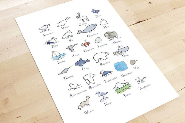 Illustrated Alphabet Arctic Print