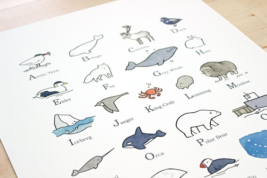 Illustrated Alphabet Arctic Print