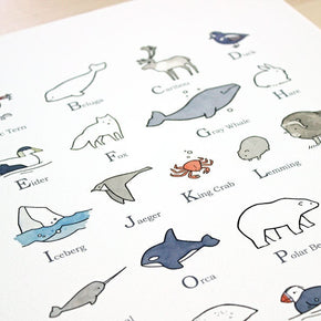 Illustrated Alphabet Arctic Print
