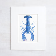 Blue Lobster Print