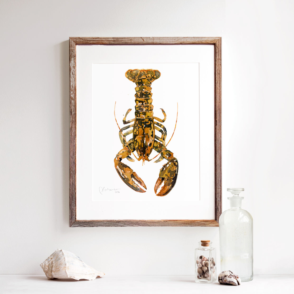Rare Calico Lobster Print