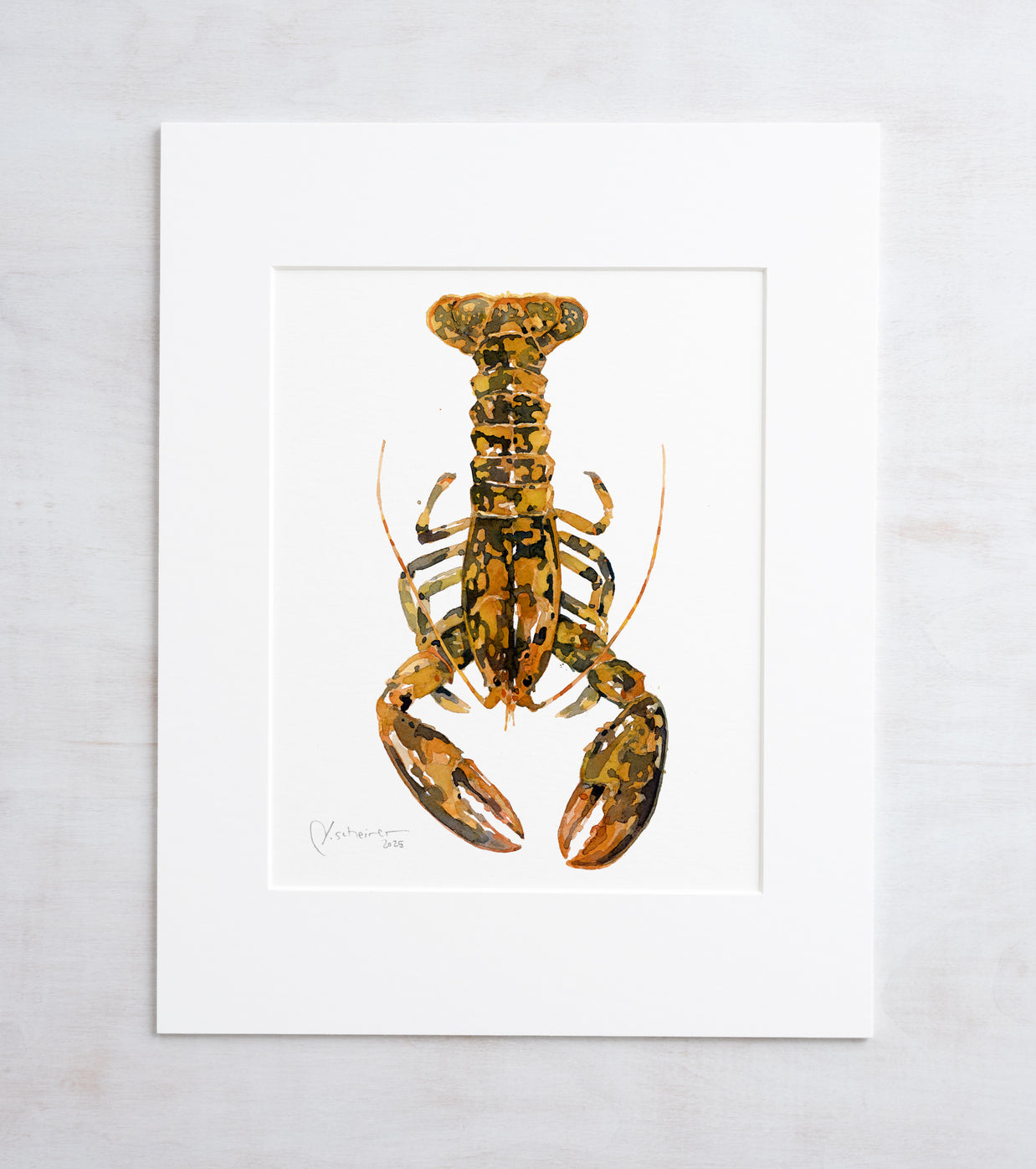 Rare Calico Lobster Print