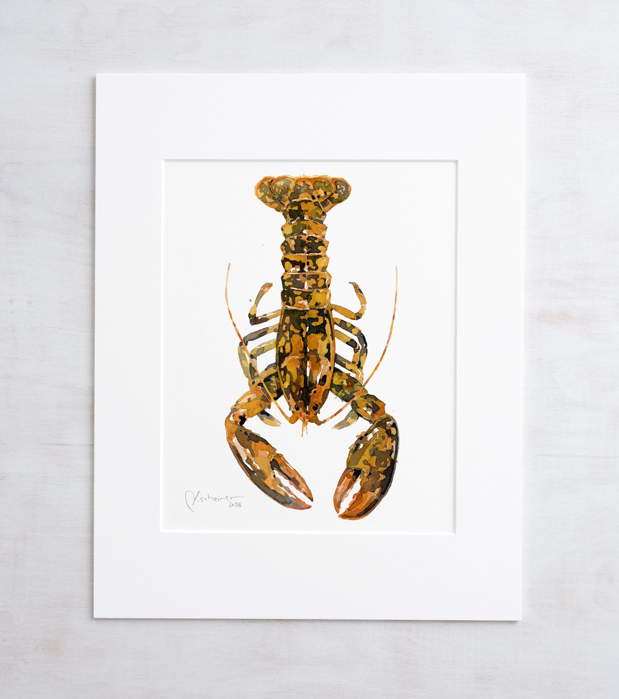 Rare Calico Lobster Print