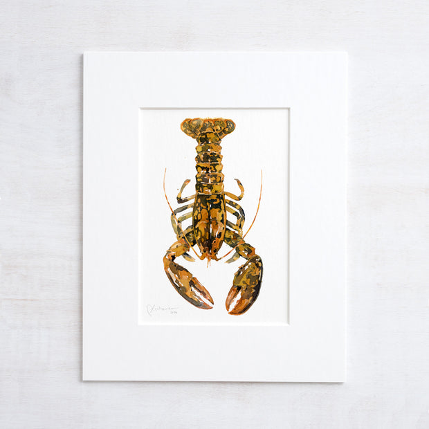 Rare Calico Lobster Print