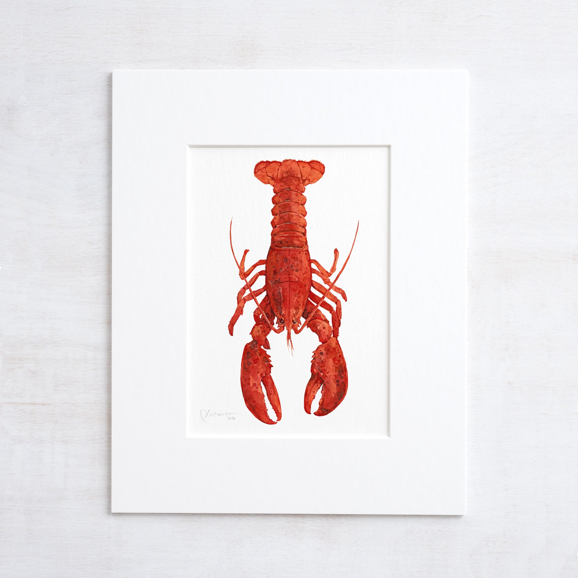 Red Lobster Print