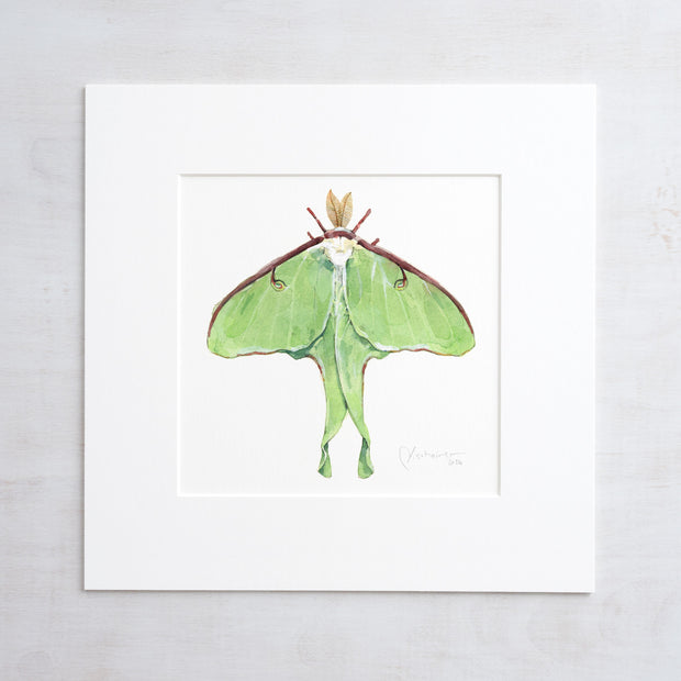 Luna Moth Print