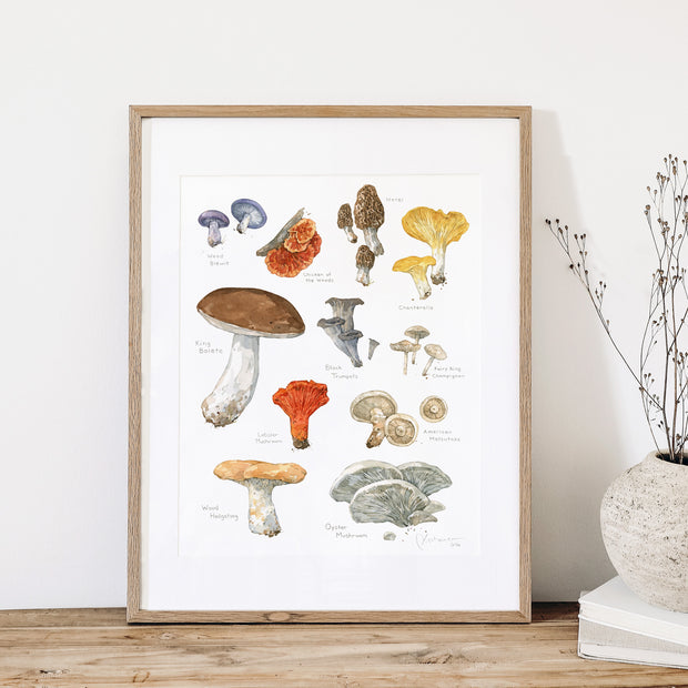 Edible Mushrooms Print