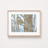 Owl, Nuthatch & Fungi Print
