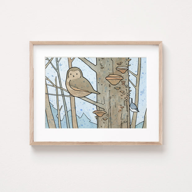 Owl, Nuthatch & Fungi Print