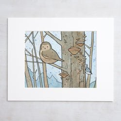 Owl, Nuthatch & Fungi Print