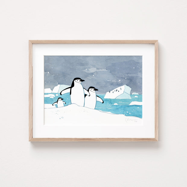 Chinstrap Penguins Print