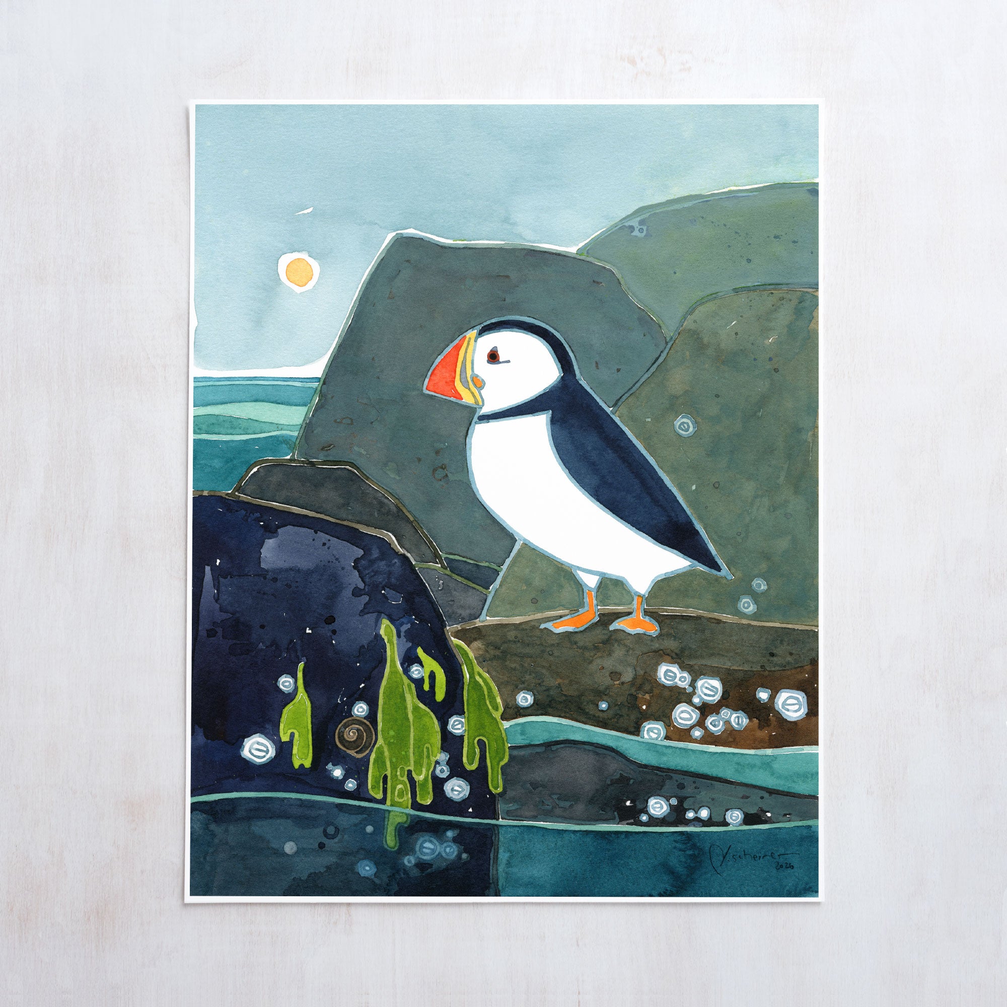 Coastal Puffin Print
