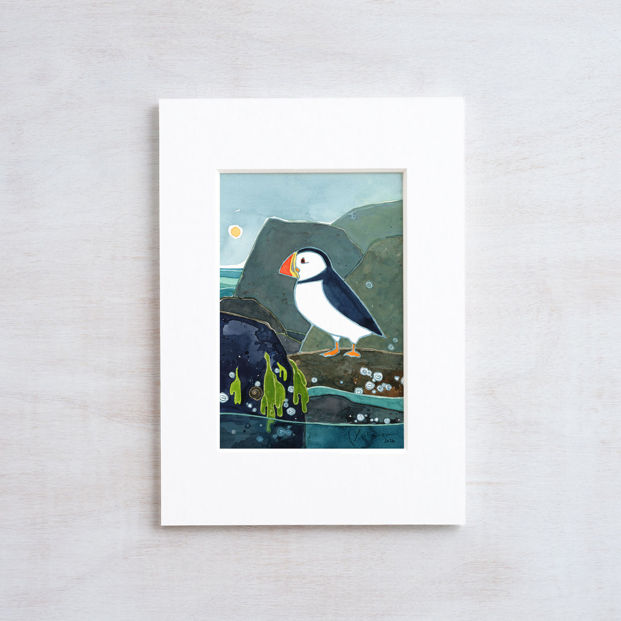 Coastal Puffin Print