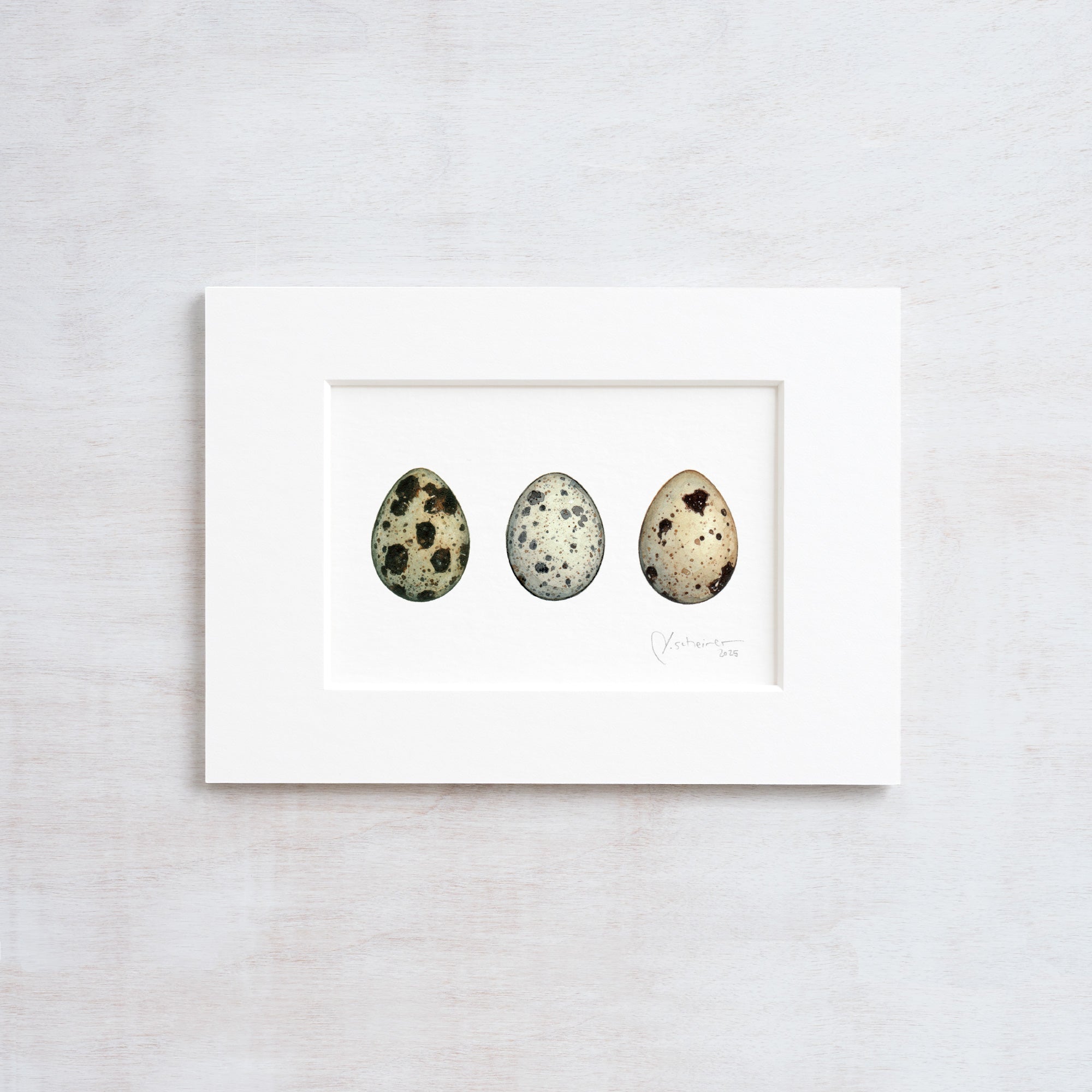 Quail Eggs Watercolor Print