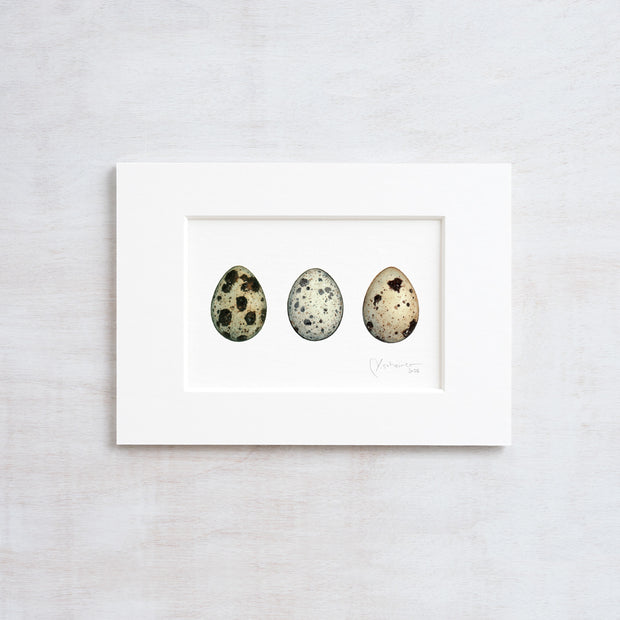 Quail Eggs Watercolor Print