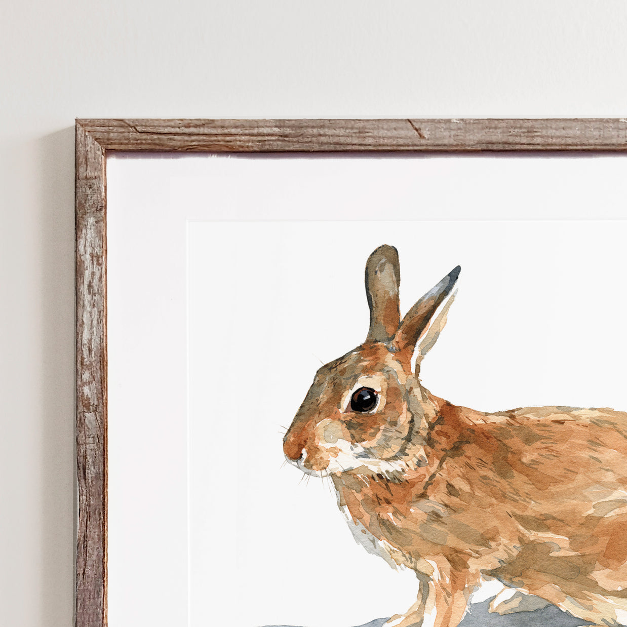Wild Rabbit Print