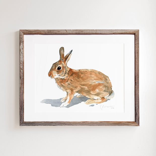 Wild Rabbit Print