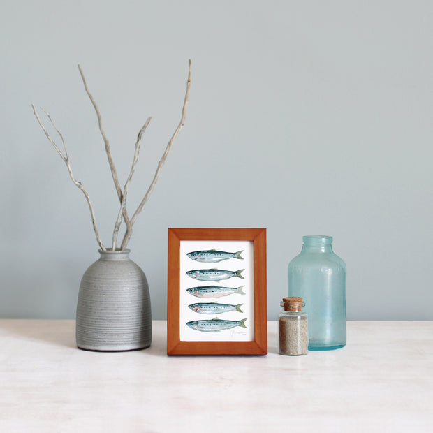 Framed Mini Sardines Print