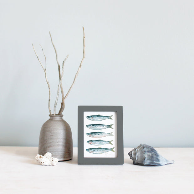Framed Mini Sardines Print