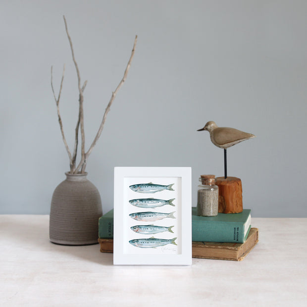 Framed Mini Sardines Print