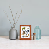 Shells and Seaweed Framed Watercolor Print Tabletop Frame