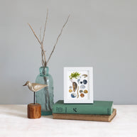 Shells and Seaweed Framed Watercolor Print Tabletop Frame