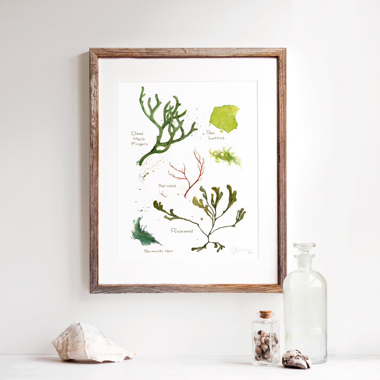 Seaweed Botanical Print