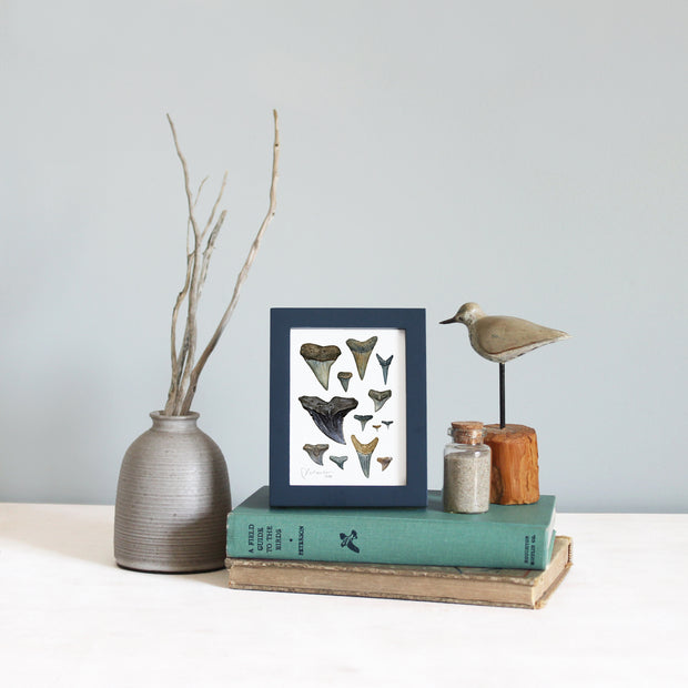 Shark Teeth Watercolor Art: Mini Framed Print