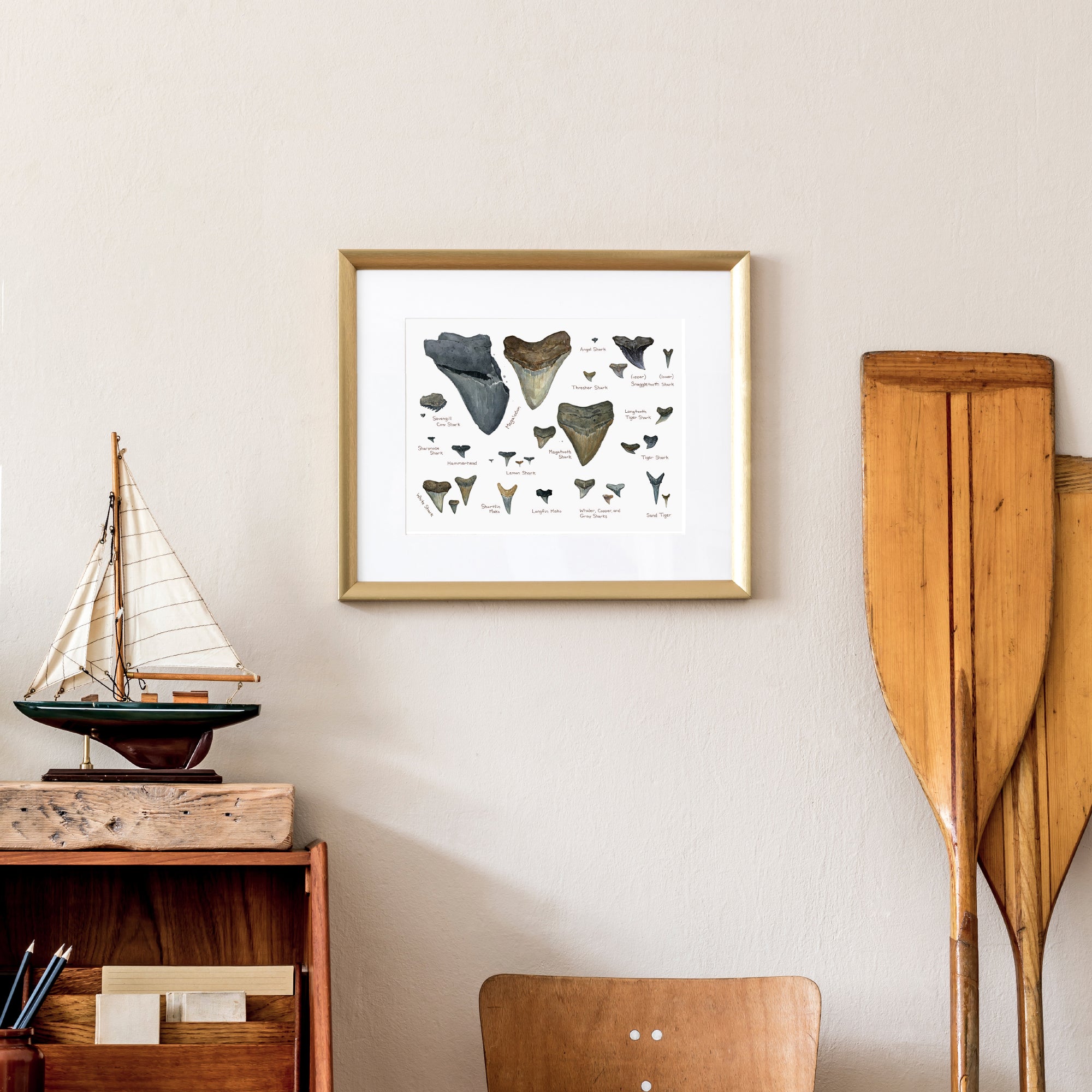 Illustrated Fossil Shark Teeth Chart, Natural History Watercolor Art Print
