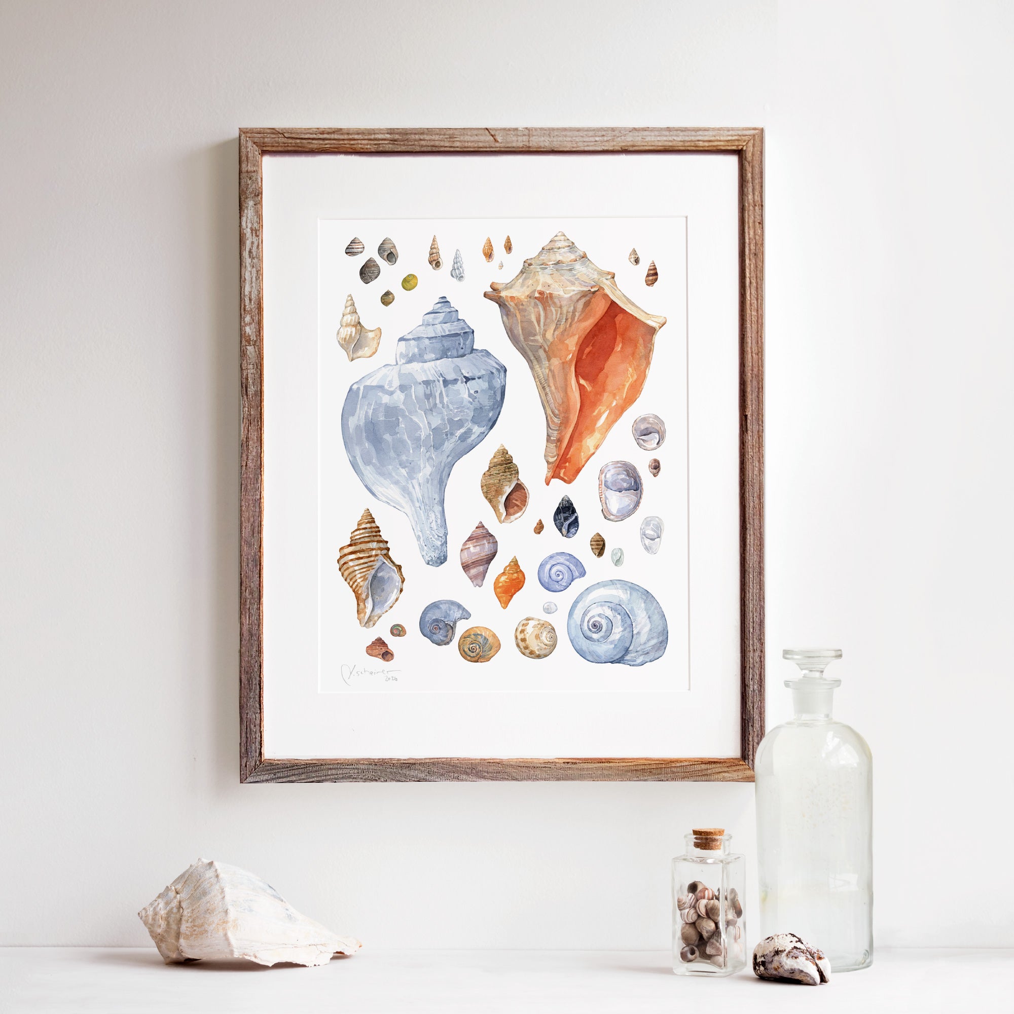 New England Seashells Art Print