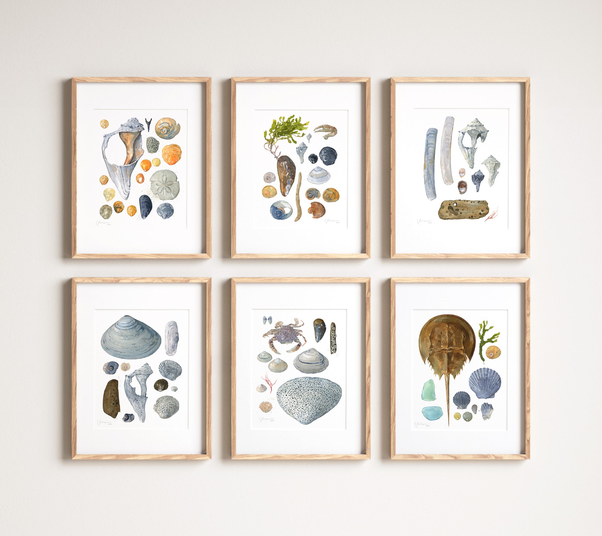 Beachcombing Print Set Seashore Wall Art