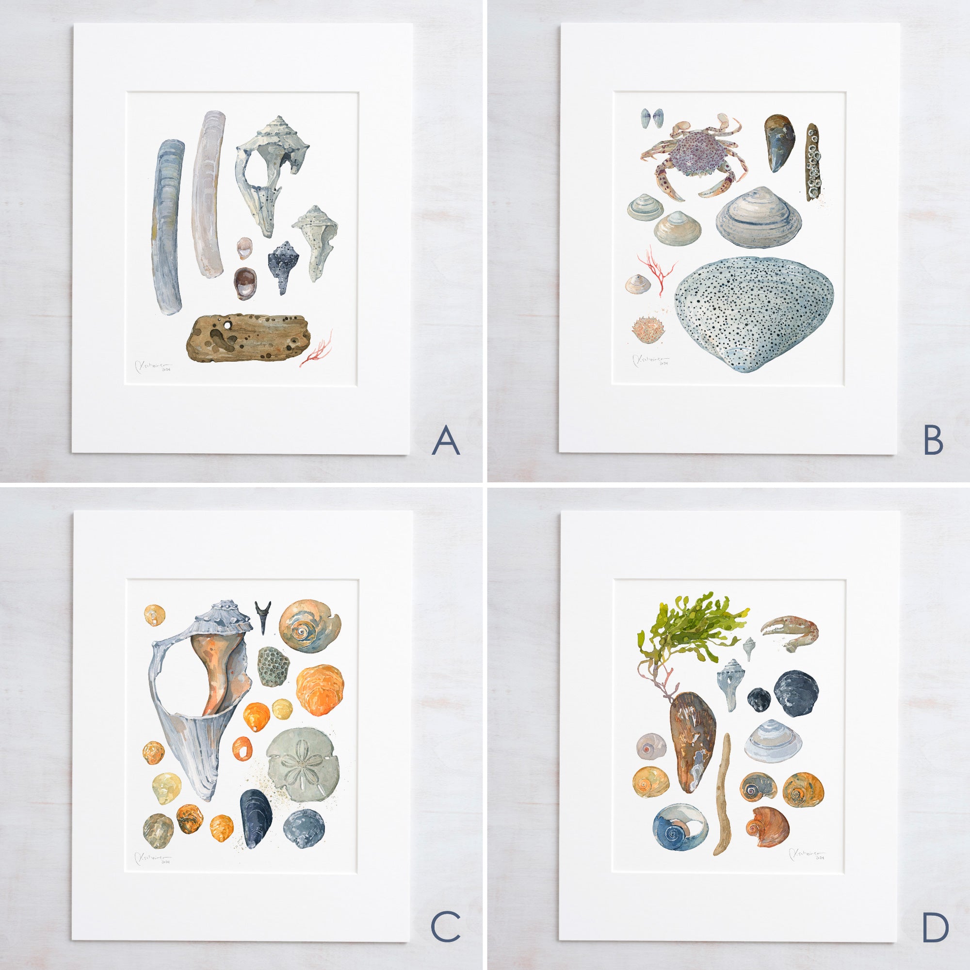 Beachcombing Print Set Seashore Wall Art