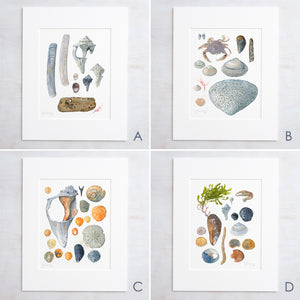 Beachcombing Print Set Seashore Wall Art