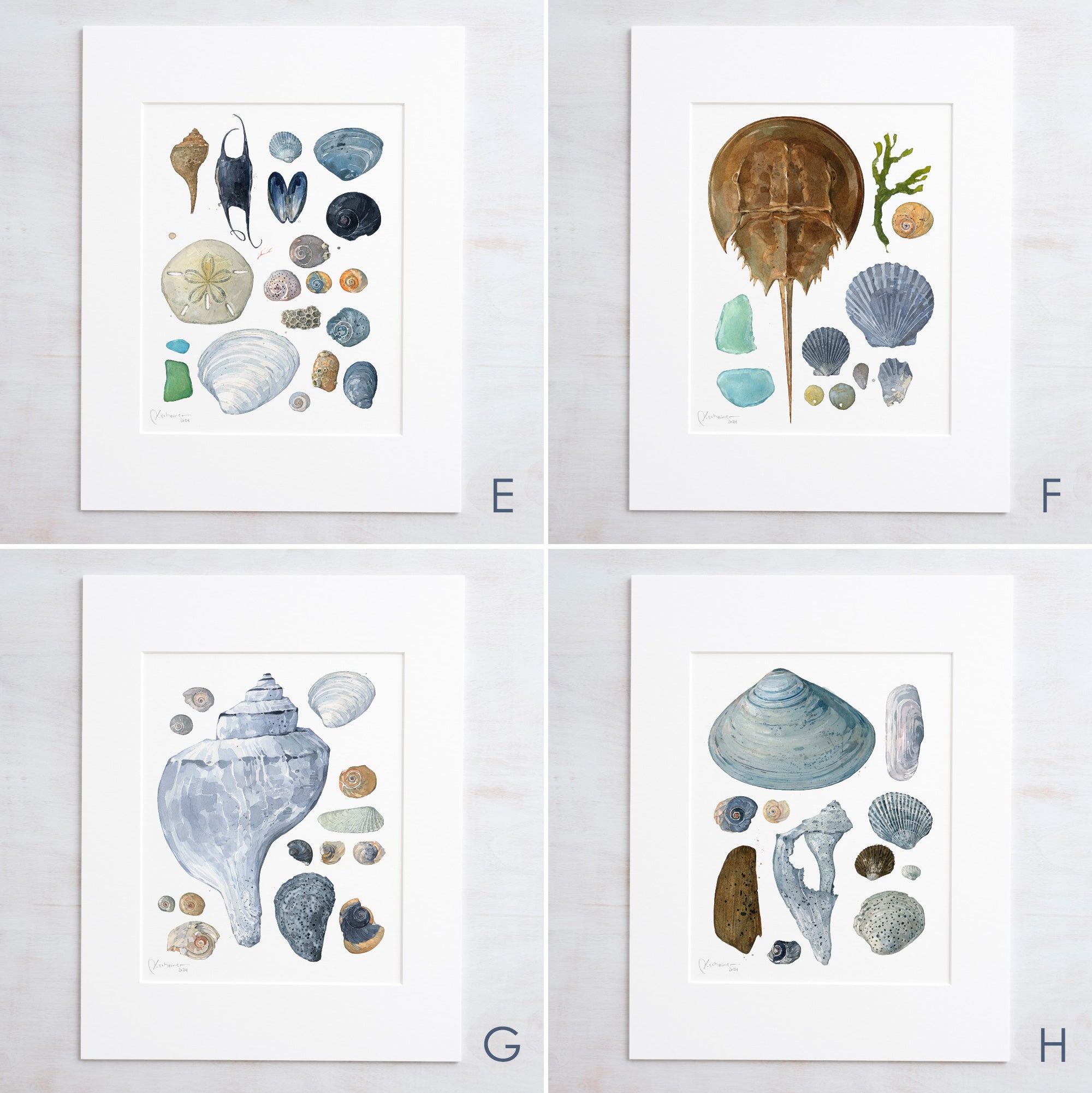 Beachcombing Print Set Seashore Wall Art