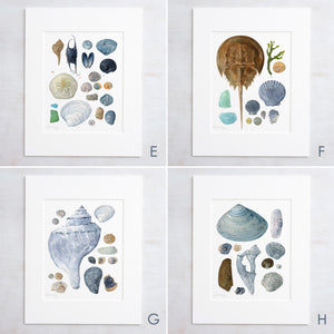 Beachcombing Print Set Seashore Wall Art