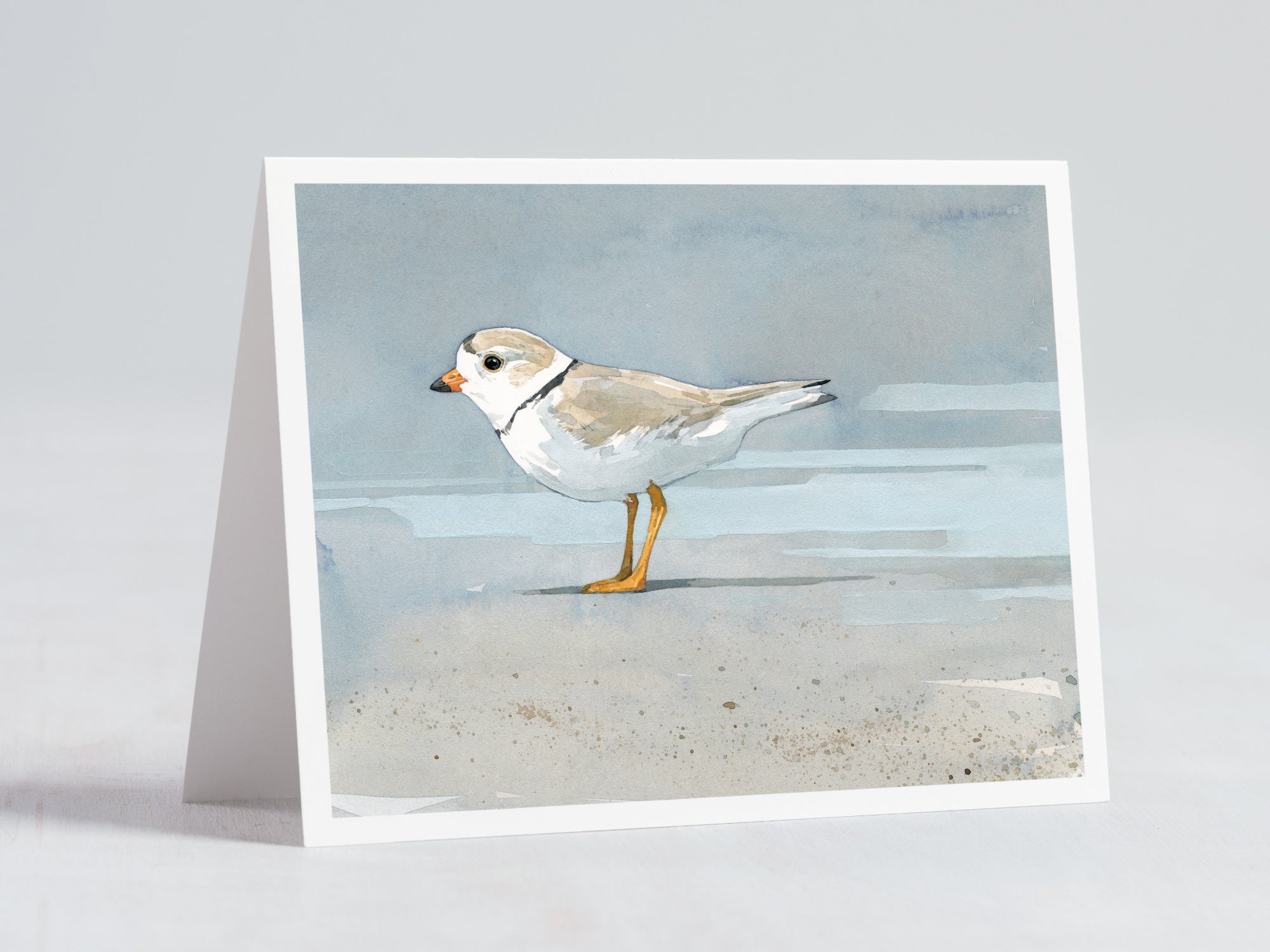Shorebird Beach Card Set 2, Mixed Beach Bird Art Stationery Set