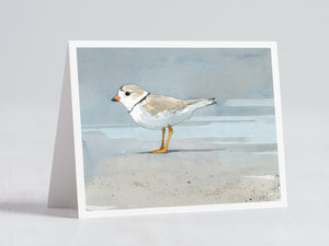Shorebird Beach Card Set 2, Mixed Beach Bird Art Stationery Set