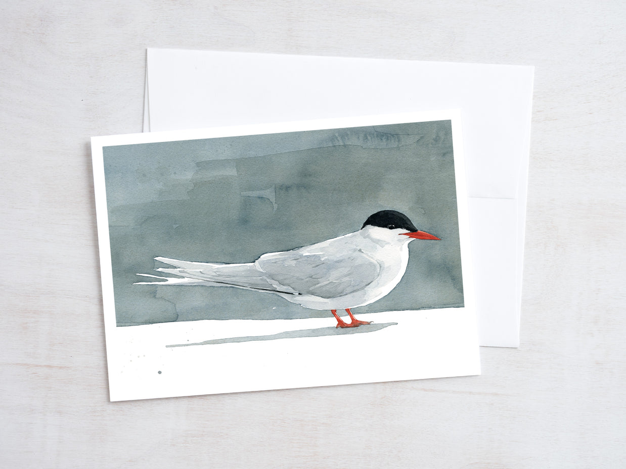 Shorebirds Card Set Mix II