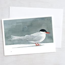 Shorebirds Card Set Mix II