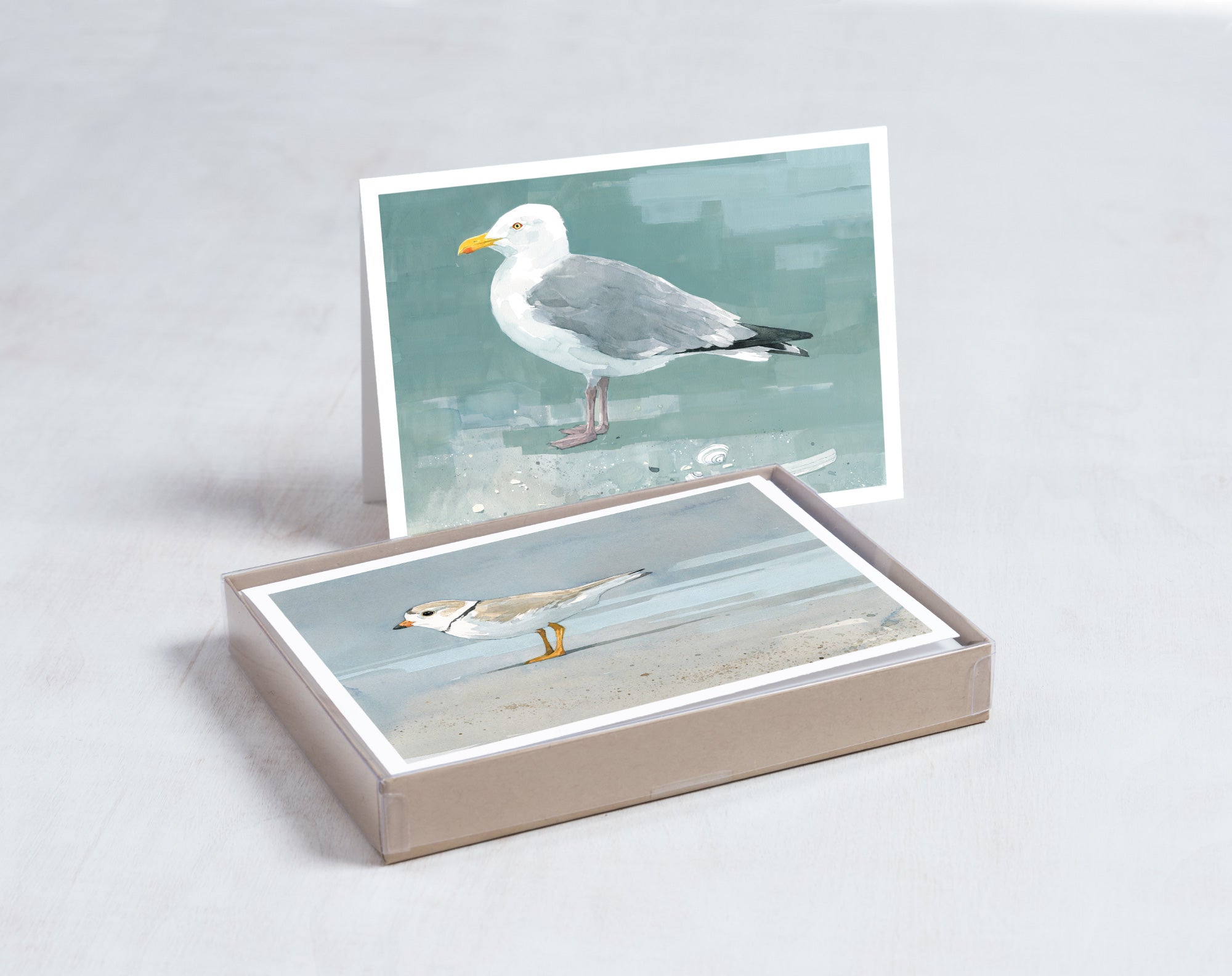 Shorebird Beach Card Set 2, Mixed Beach Bird Art Stationery Set