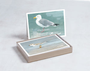 Shorebird Beach Card Set 2, Mixed Beach Bird Art Stationery Set