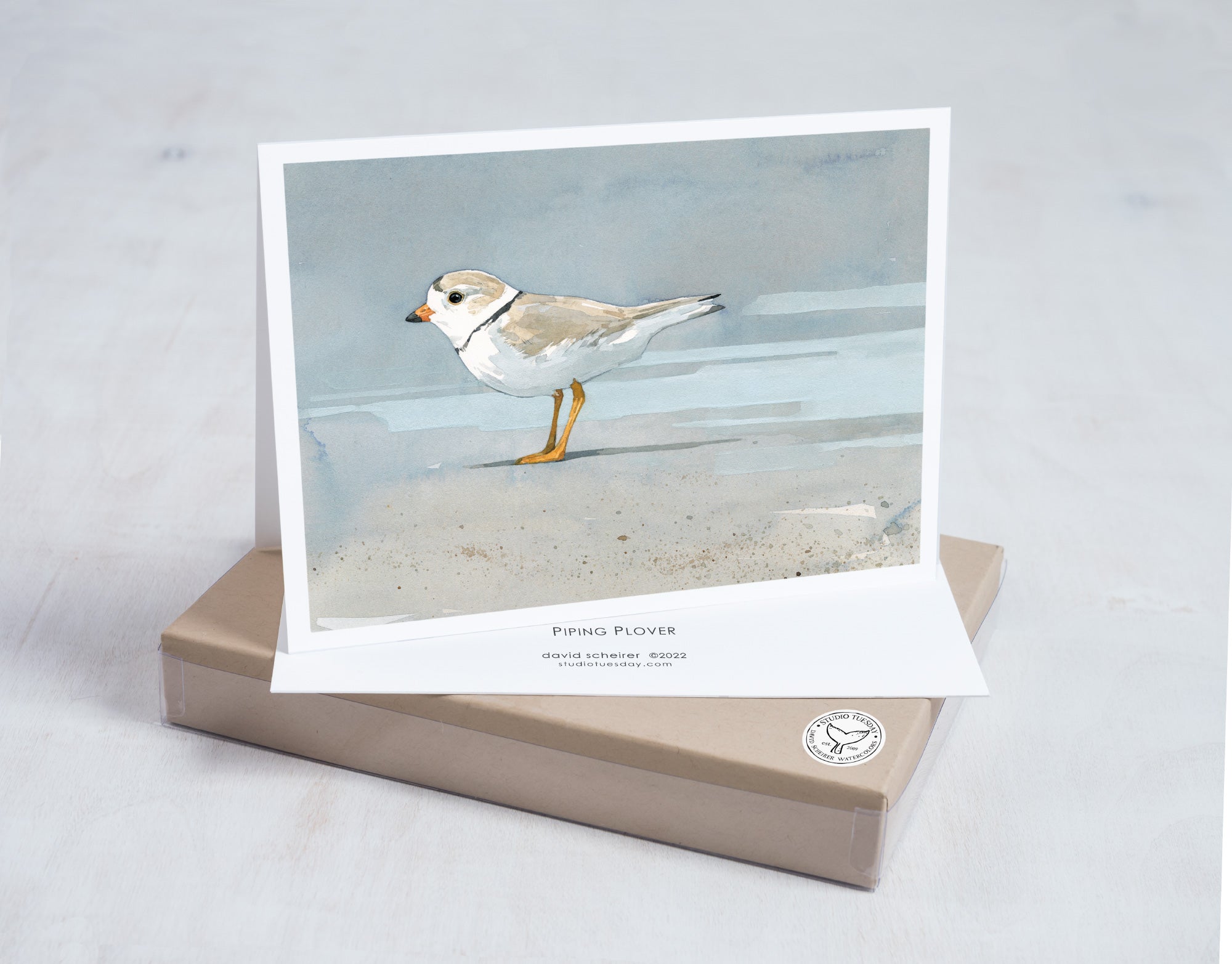 Shorebird Beach Card Set 2, Mixed Beach Bird Art Stationery Set