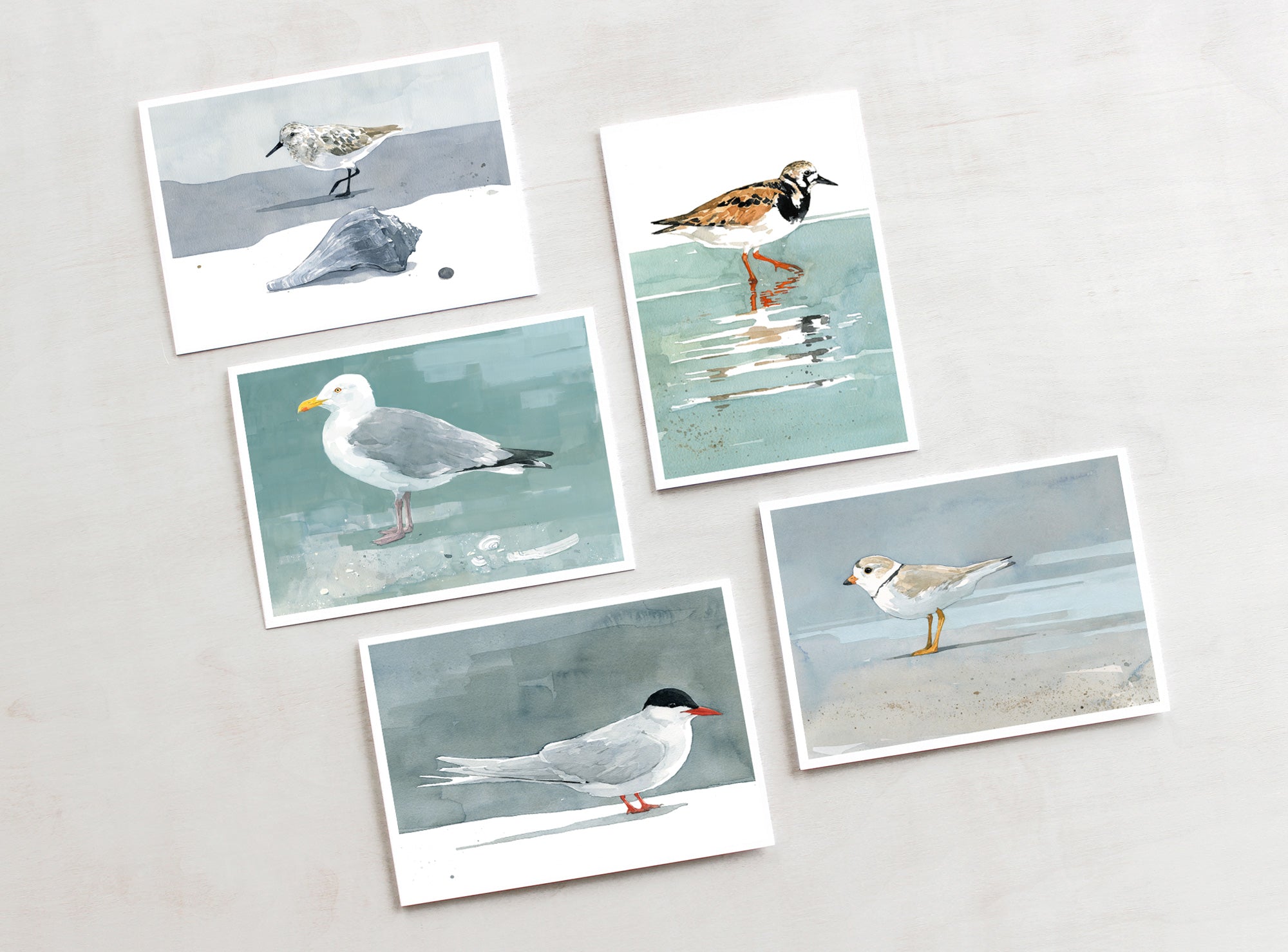 Shorebird Beach Card Set 2, Mixed Beach Bird Art Stationery Set