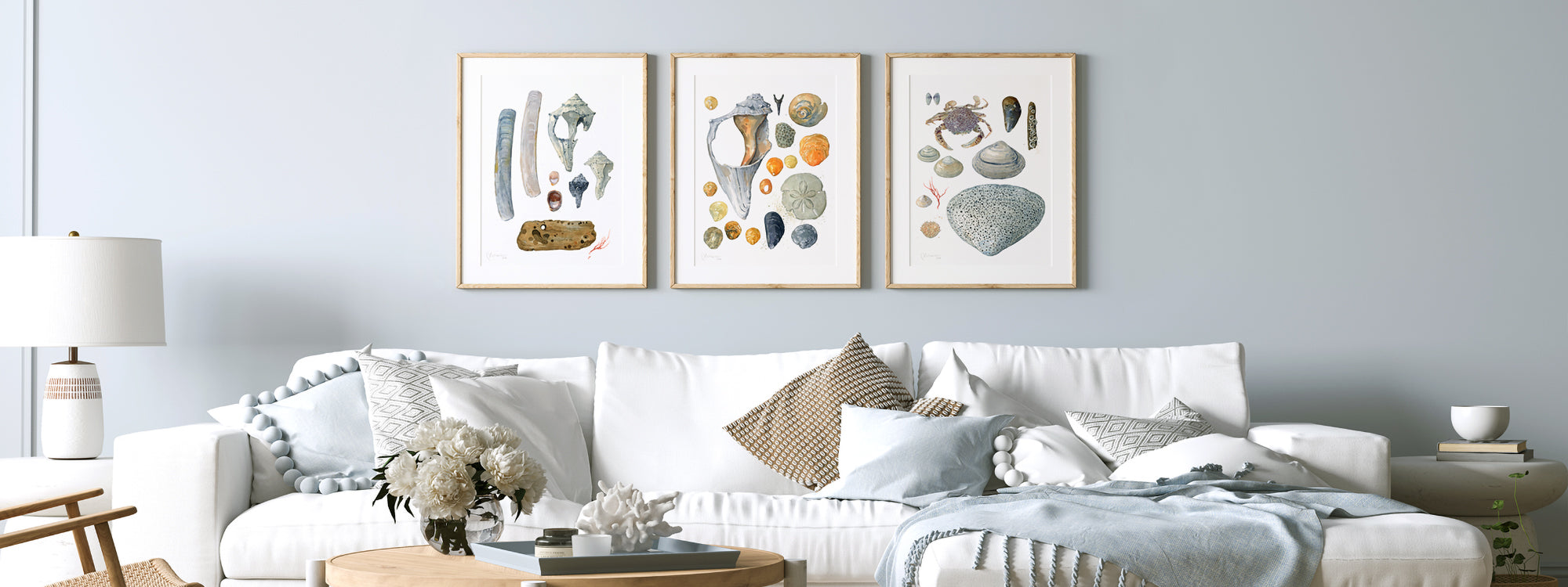 Beachcombing Print Set Seashore Wall Art