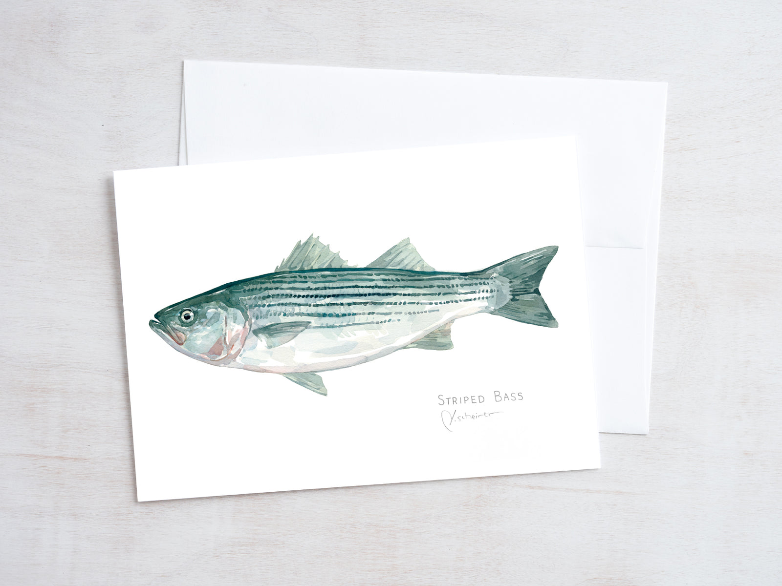 Striped Bass Card Blank Watercolor Notecard